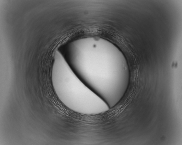 X0000116001201200911191206