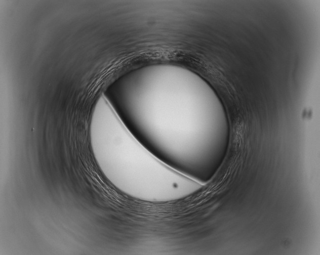 X0000116001202200911191206