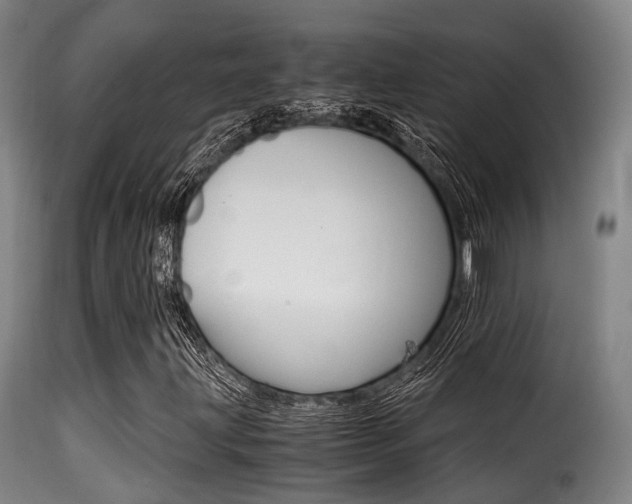 X0000116001203200911191206