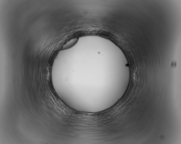 X0000116001204200911191206