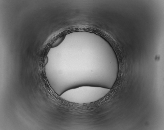 X0000116001207200911191206