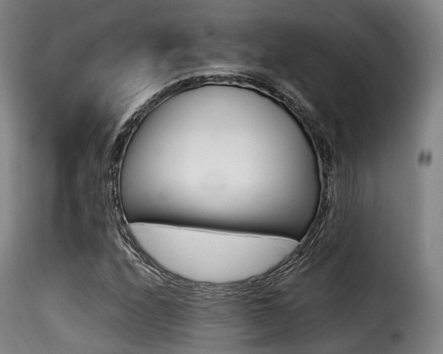 X0000116001208200911191206