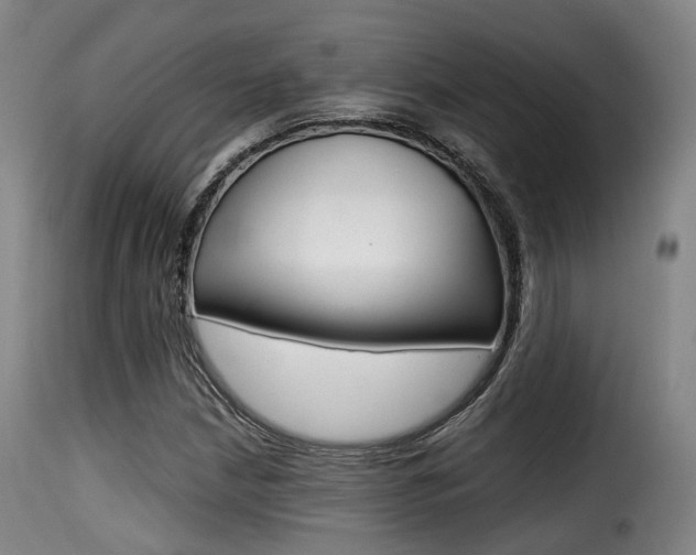 X0000116001210200911191206