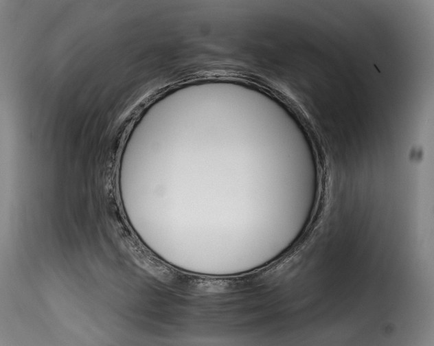 X0000116001211200911191206