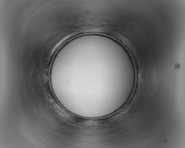 X0000116001212200911191206