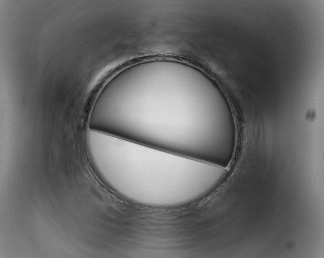 X0000116001214200911191206