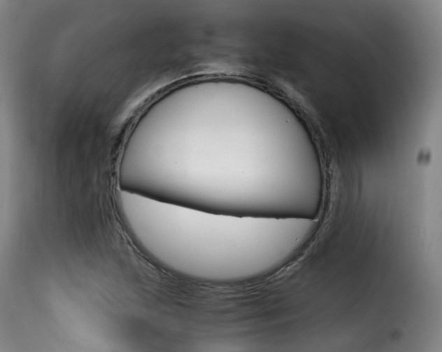 X0000116001215200911191206