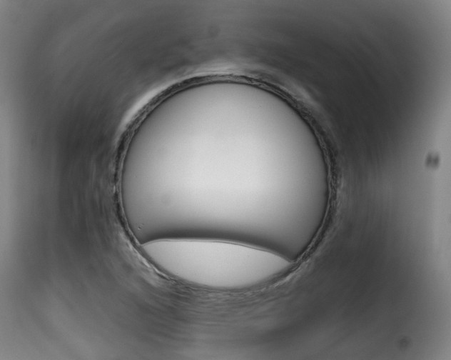 X0000116001216200911191206
