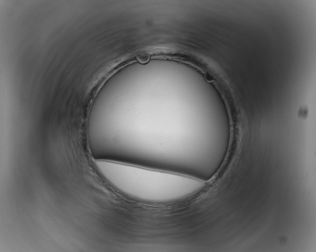 X0000116001217200911191206