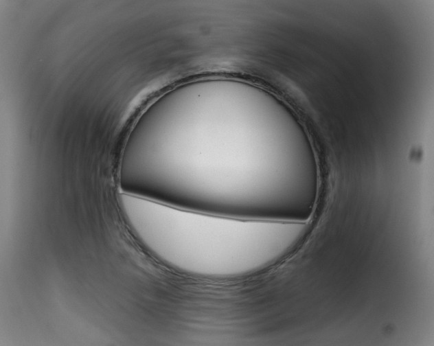 X0000116001218200911191206