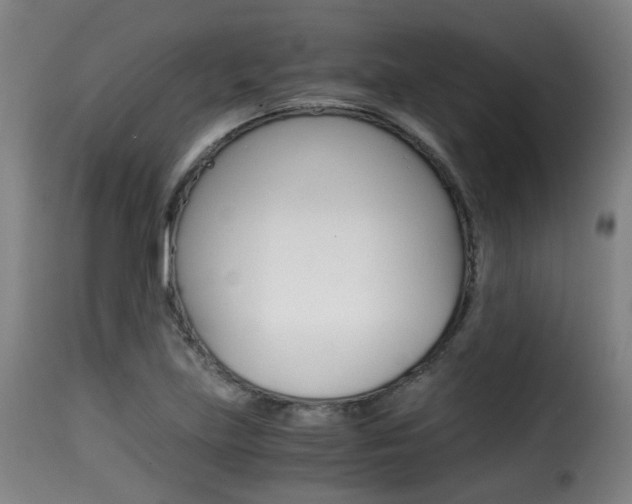 X0000116001219200911191206