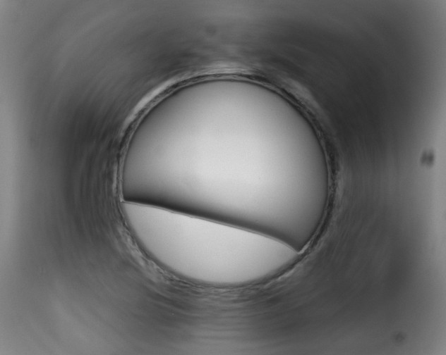 X0000116001220200911191206