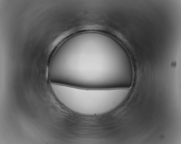 X0000116001221200911191206