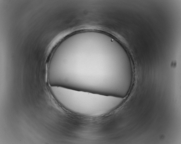 X0000116001223200911191206