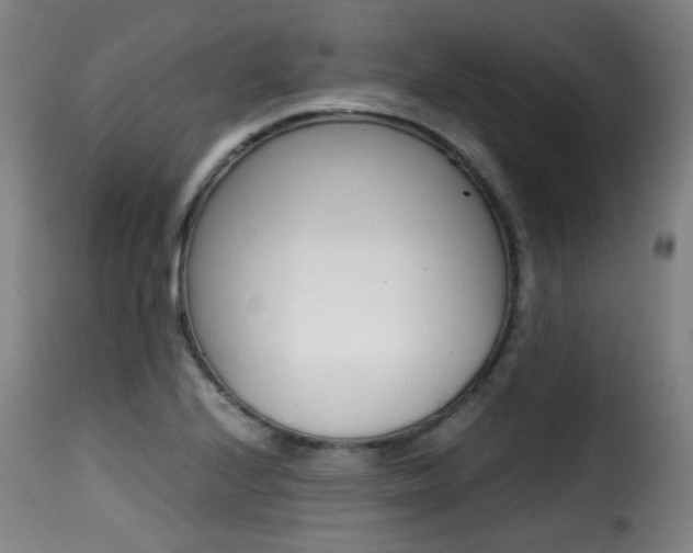 X0000116001224200911191206