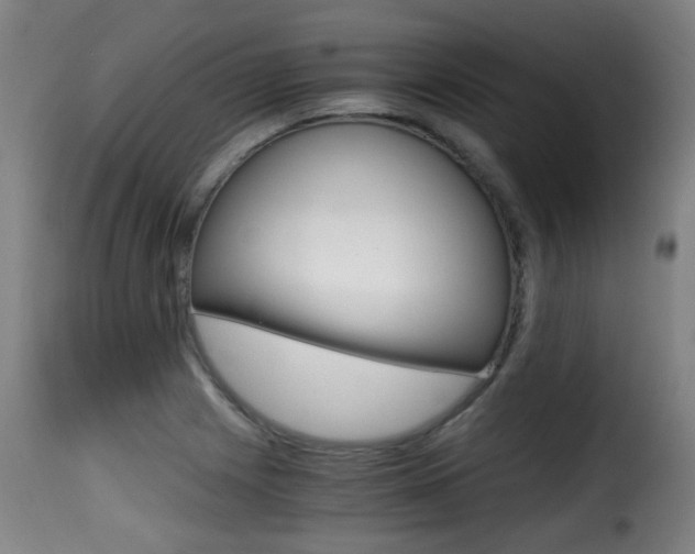 X0000116001225200911191206