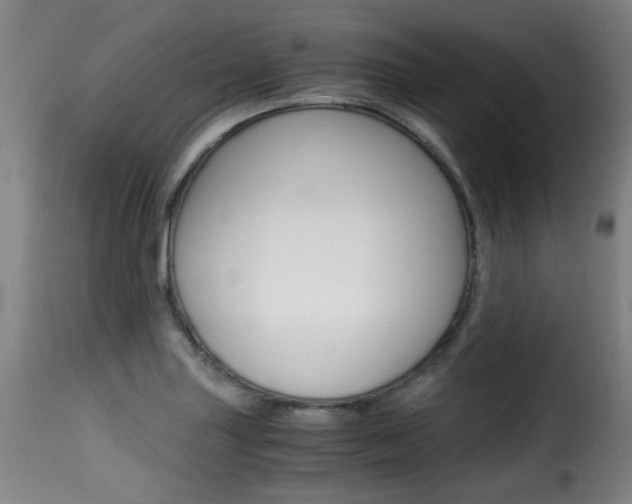 X0000116001227200911191206