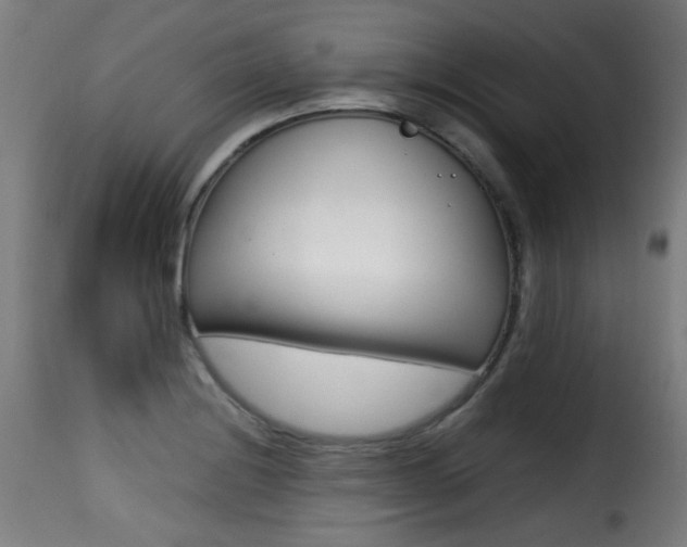 X0000116001228200911191206
