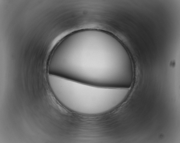 X0000116001230200911191206