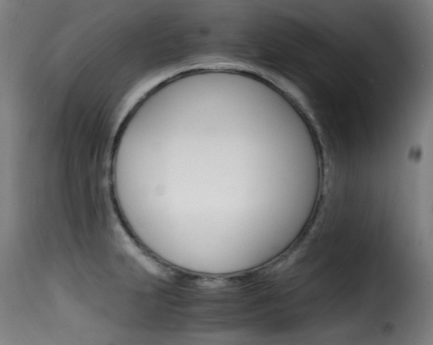 X0000116001231200911191206