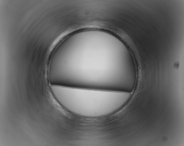 X0000116001232200911191206