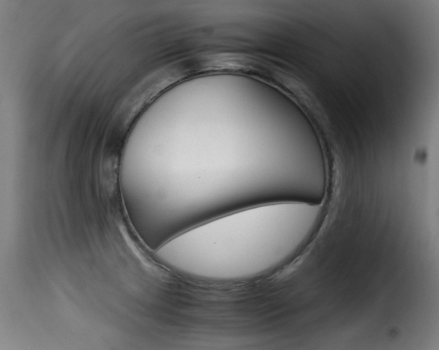 X0000116001233200911191206