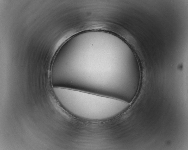 X0000116001234200911191206