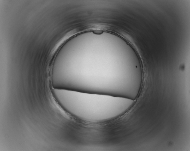 X0000116001235200911191206
