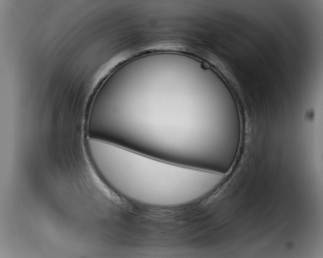 X0000116001237200911191206