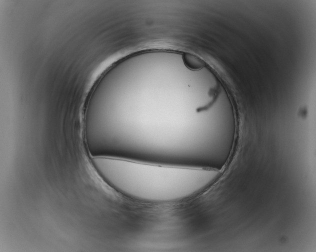 X0000116001238200911191206