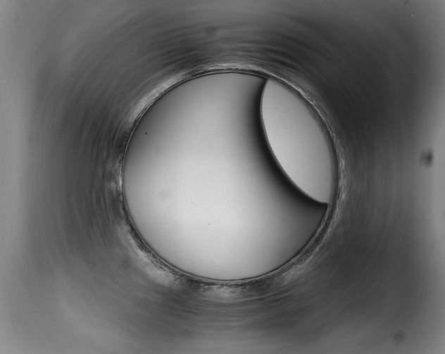 X0000116001241200911191206