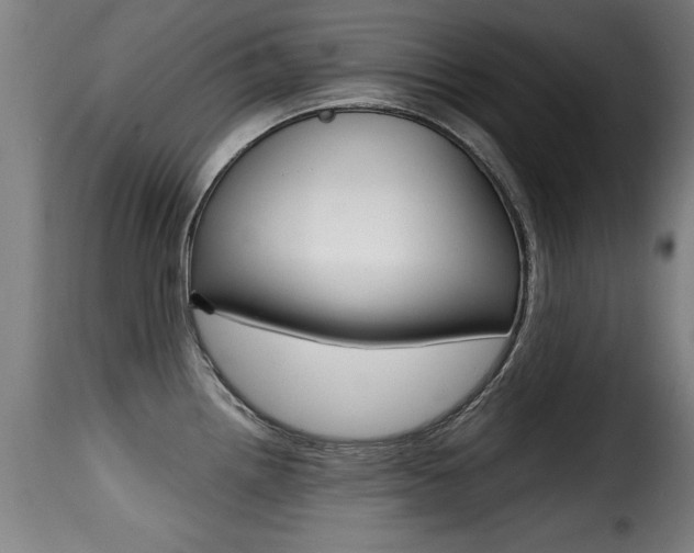 X0000116001242200911191206