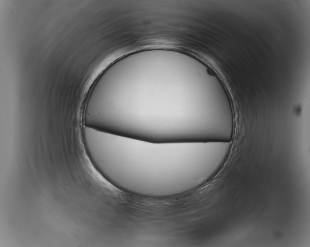 X0000116001243200911191206