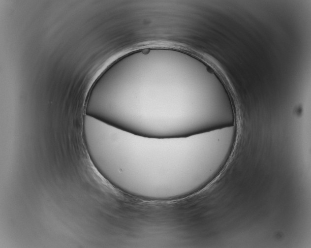X0000116001244200911191206