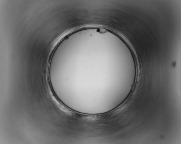X0000116001245200911191206