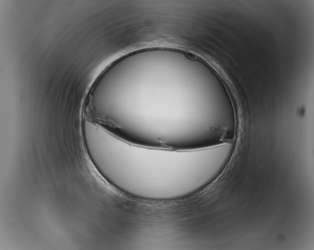 X0000116001246200911191206
