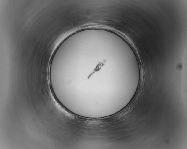 X0000116001247200911191206