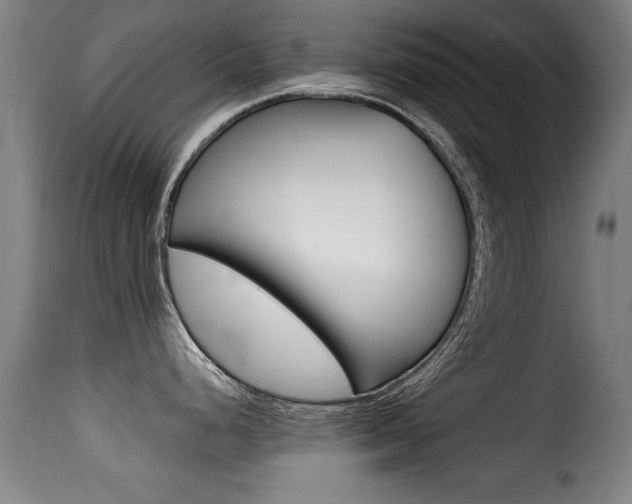 X0000116001248200911191206