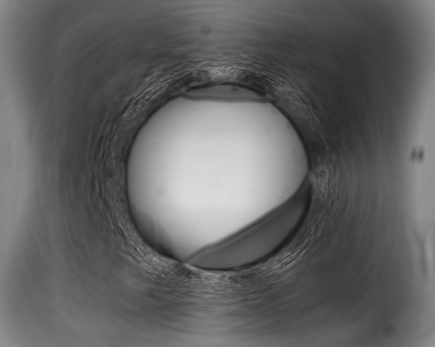 X0000116001249200911191206