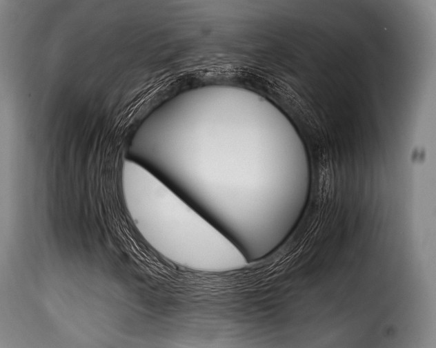 X0000116001250200911191206