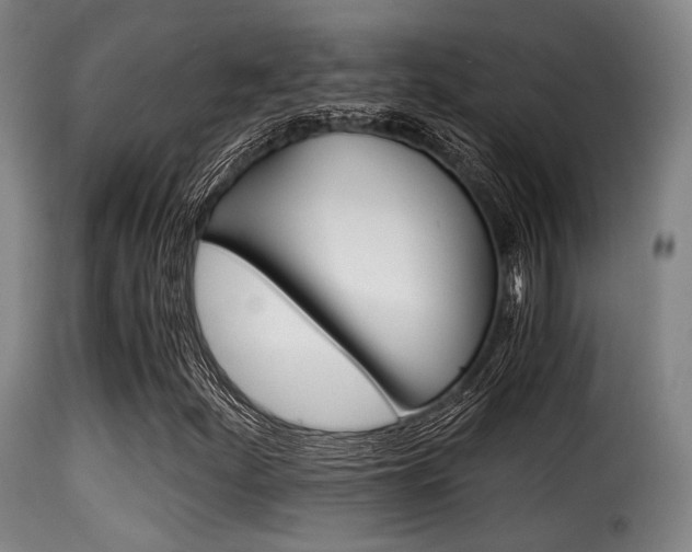 X0000116001252200911191205