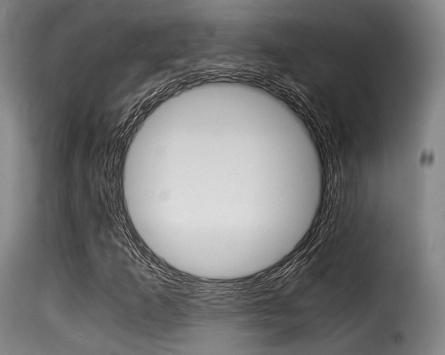 X0000116001253200911191205