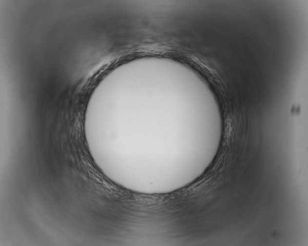 X0000116001254200911191205