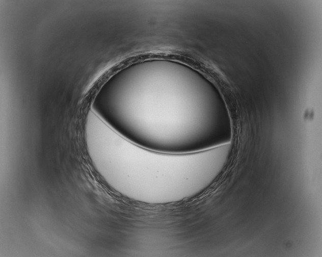 X0000116001256200911191205