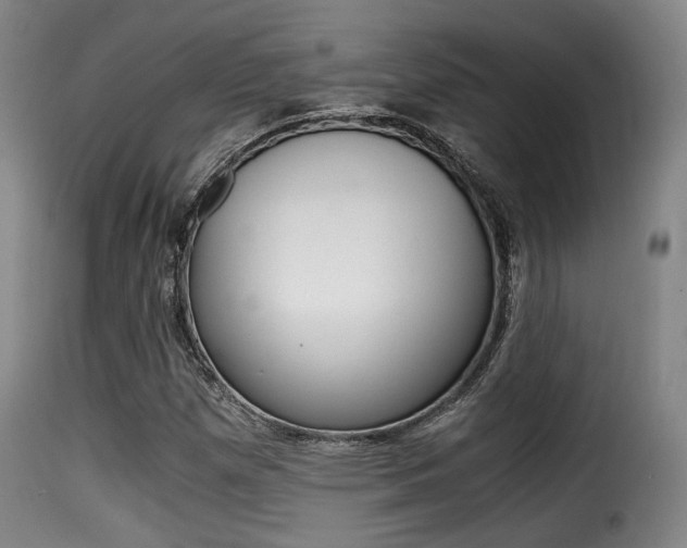 X0000116001257200911191205