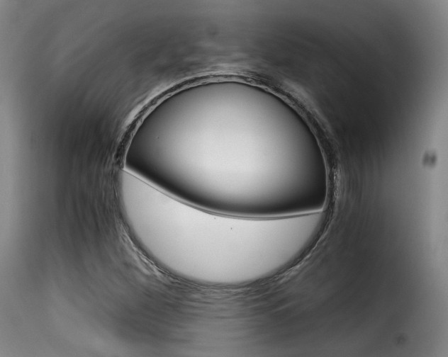X0000116001260200911191205