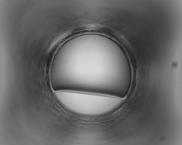 X0000116001261200911191205