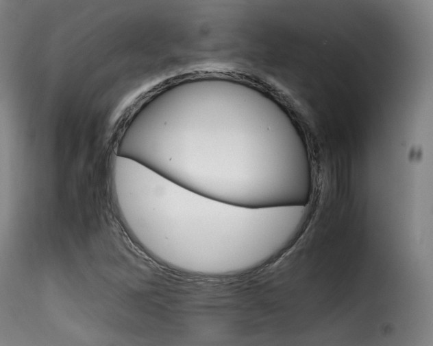 X0000116001262200911191205