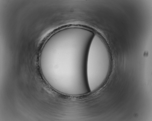 X0000116001263200911191205