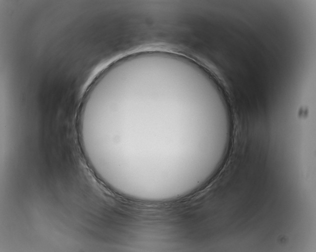 X0000116001264200911191205